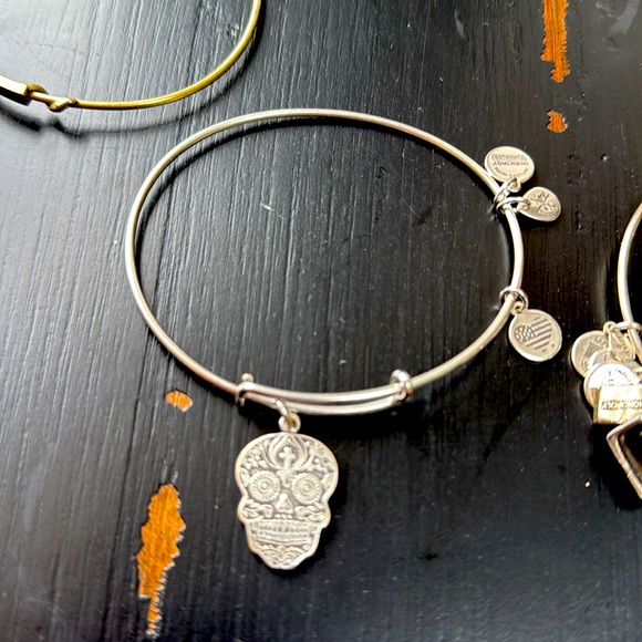 Set of 6~ Alex & Ani Silver Charm Bangle Bracelets - Picture 6 of 14